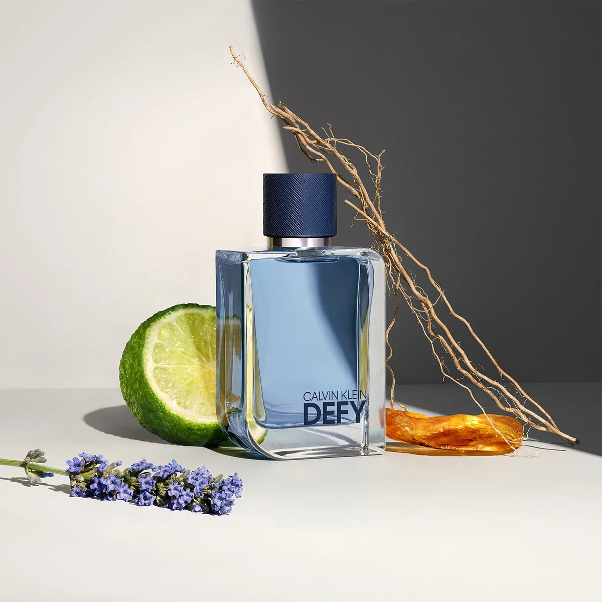 Herenparfum Calvin Klein Defy EDT 100 ml