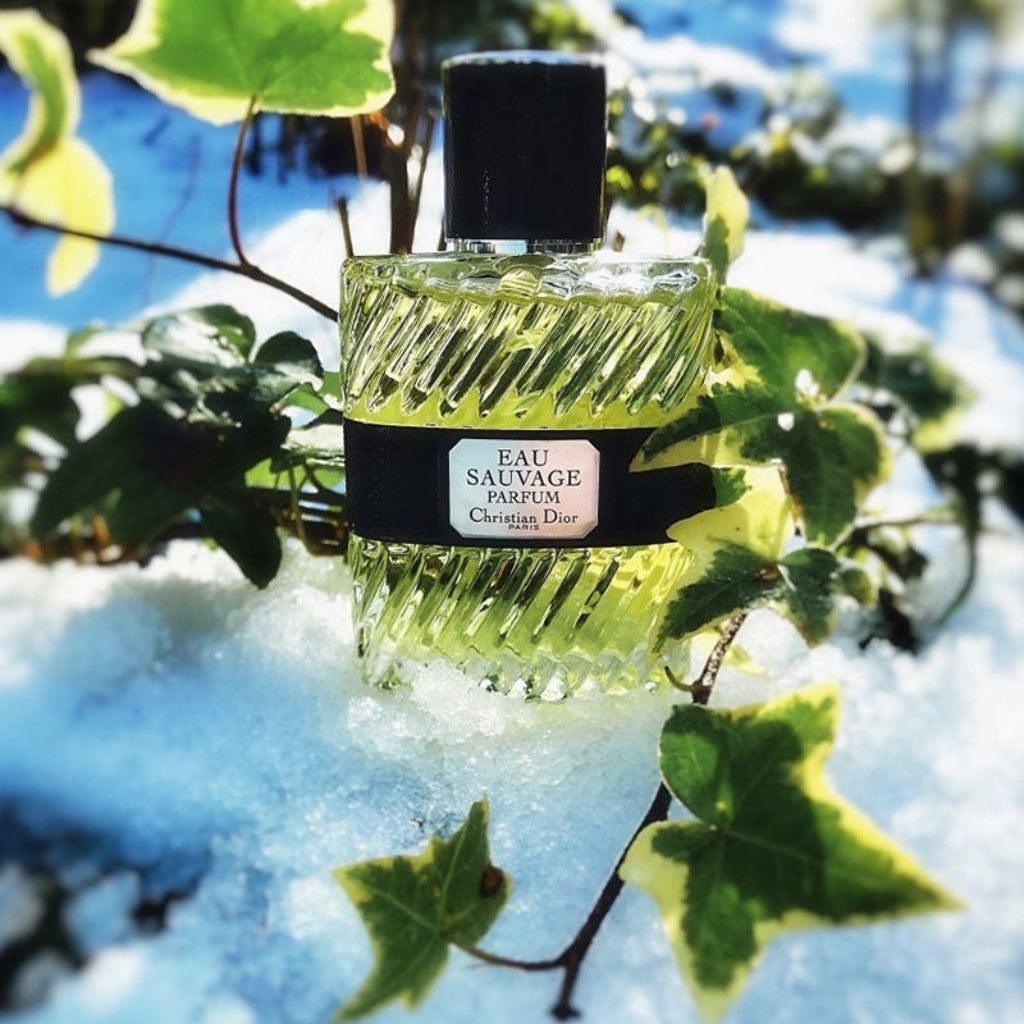 Herenparfum Christian Dior Eau Sauvage 2017 Parfum 100 ml