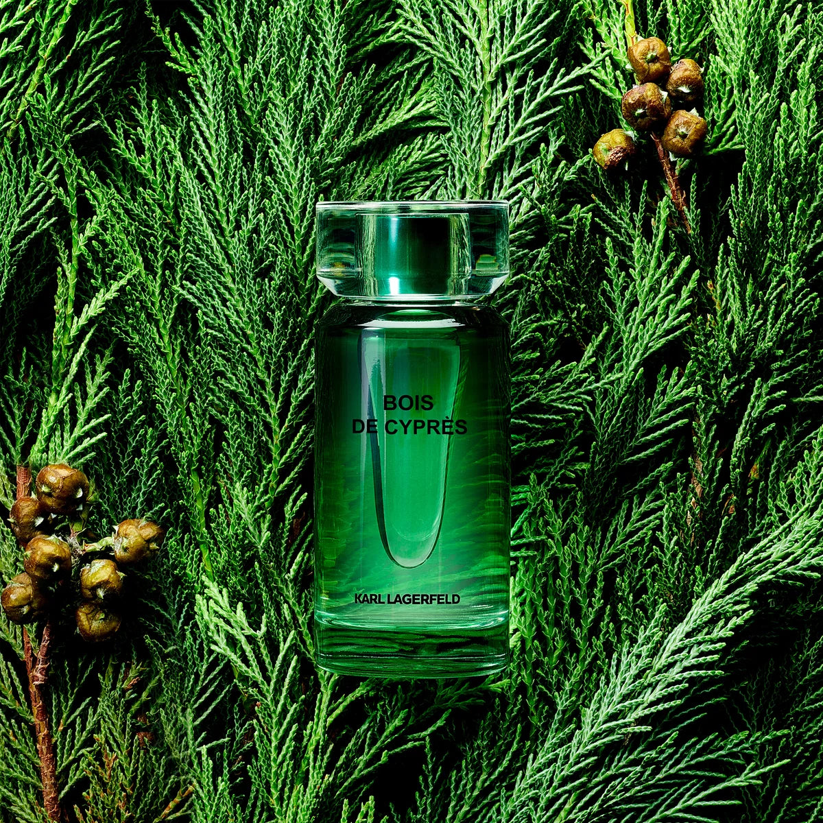 Herenparfum Karl Lagerfeld Bois de Cyprès EDT 50 ml