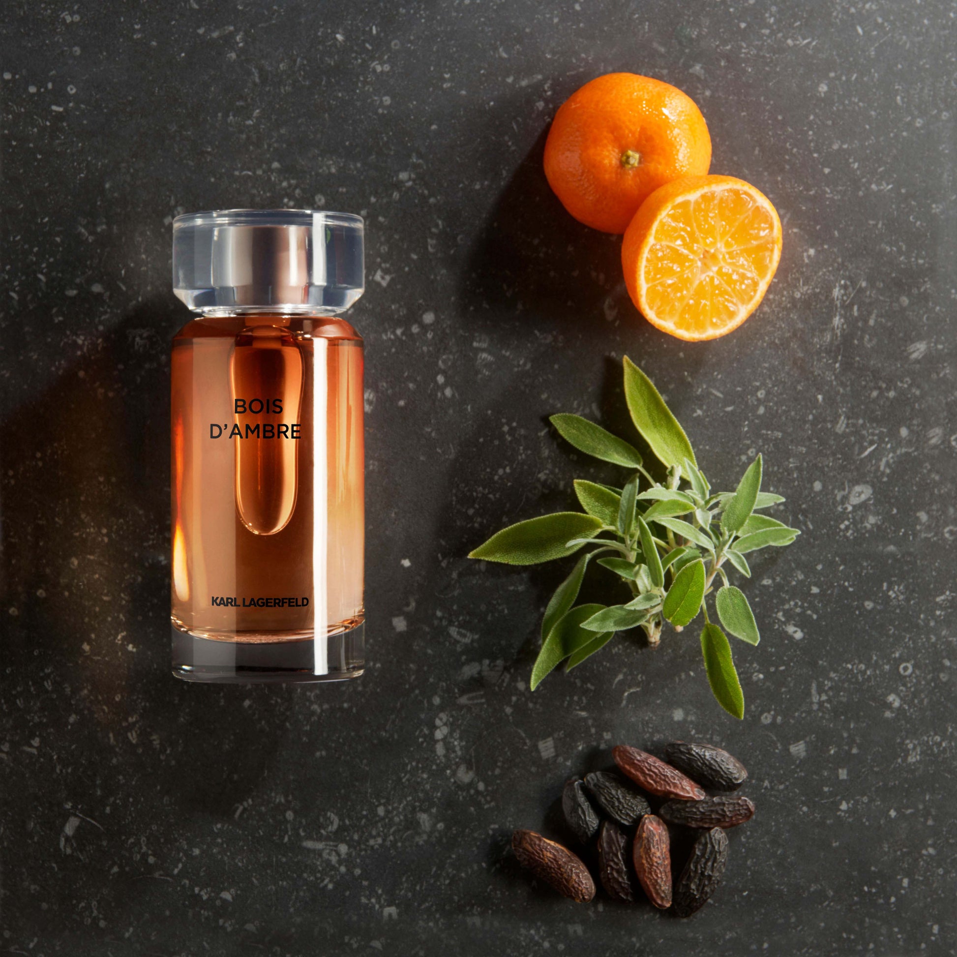 Herenparfum Karl Lagerfeld Bois d'Ambre EDT 50 ml
