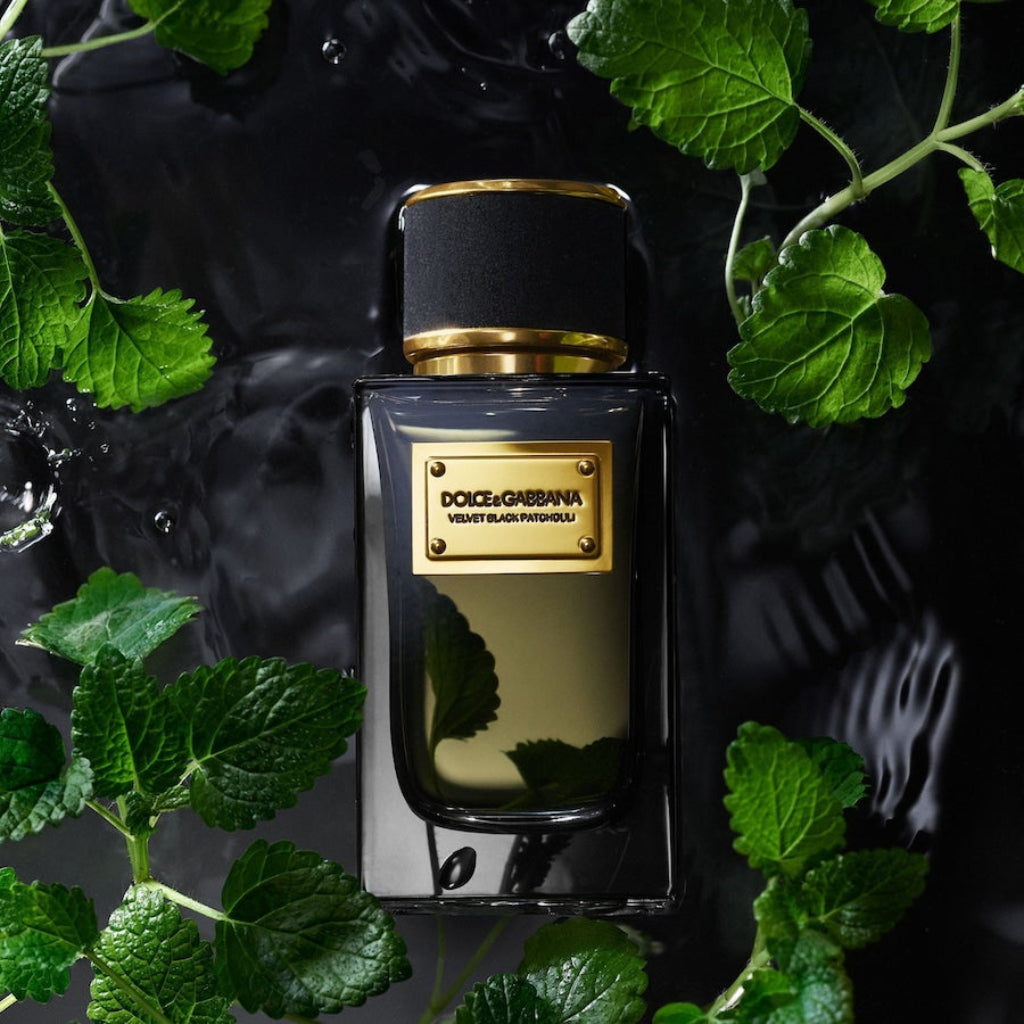 Unisesparfum Dolce & Gabbana Velvet Black Patchouli EDP 100 ml