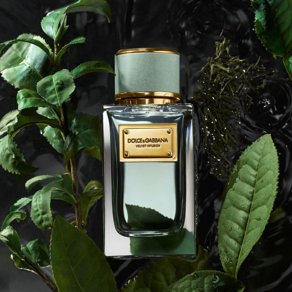 Unisexparfum Dolce & Gabbana Velvet Infusion EDP 100 ml