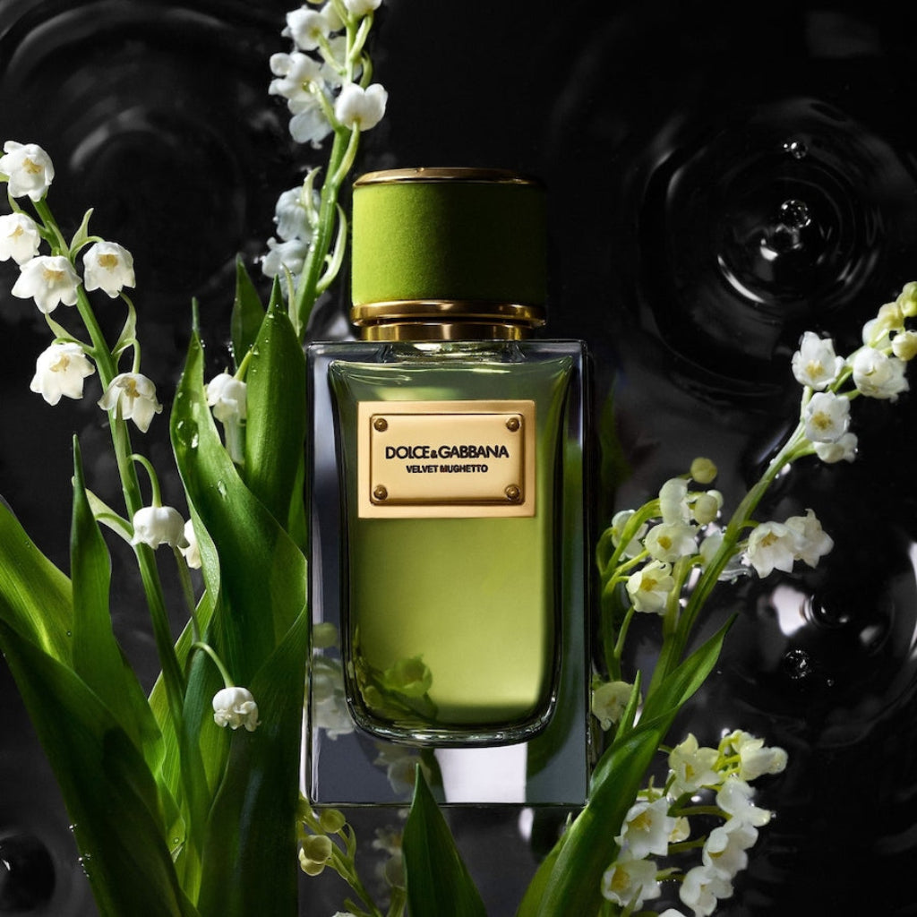Unisexparfum Dolce & Gabbana Velvet Mughetto EDP 100 ml