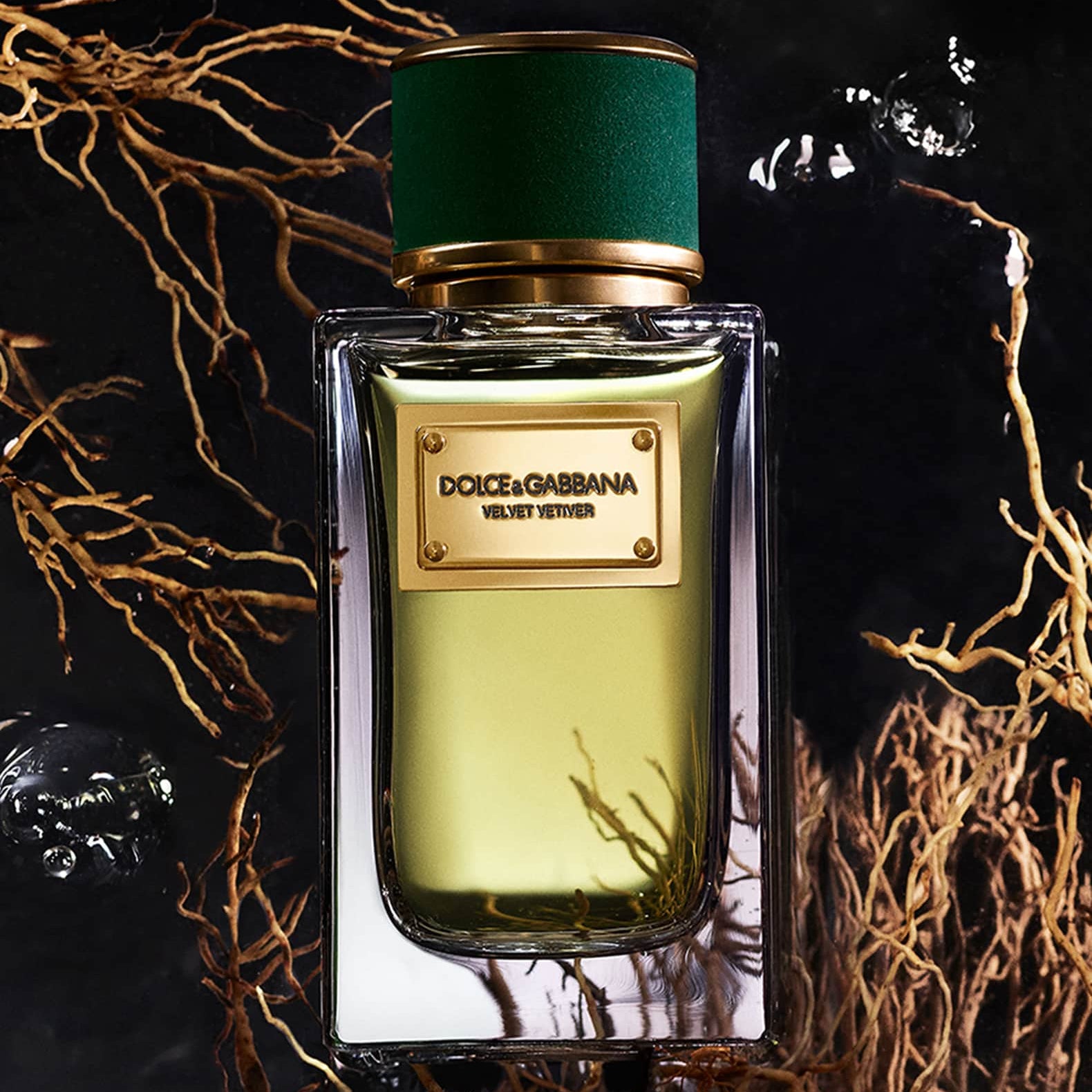 Unisexparfum Dolce & Gabbana Velvet Vetiver EDP 100 ml